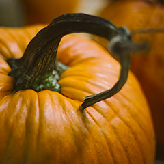 Dimanche 7 octobre